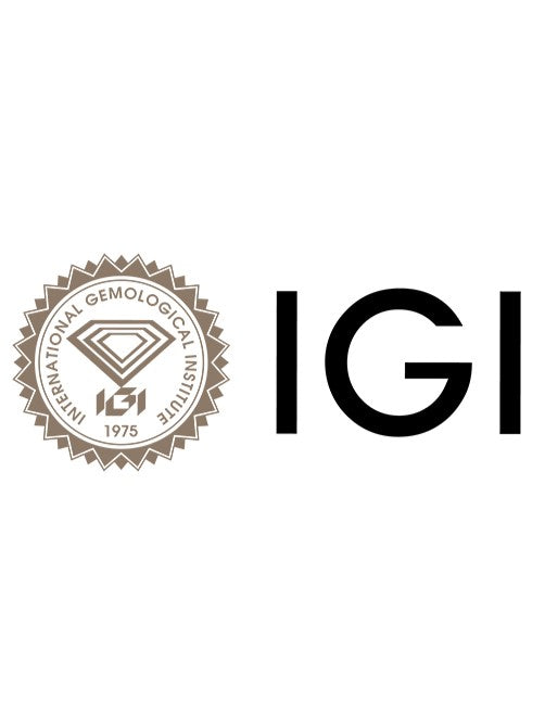 Heartfall Statement Earrings