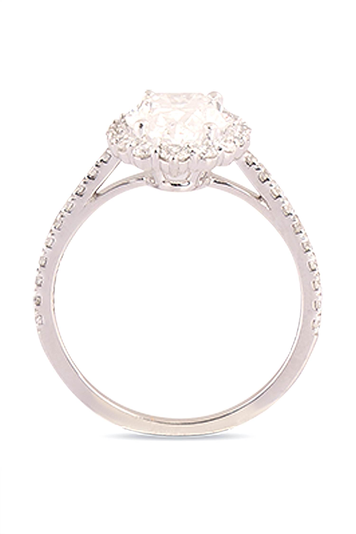 variant_43726827618401_4