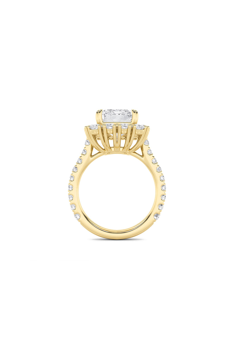 Elevated Cushion Halo Ring