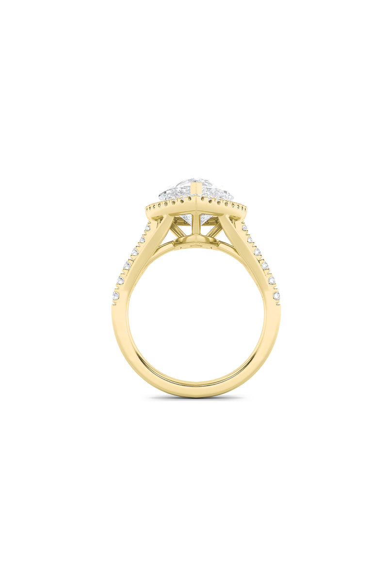 Splendor Pear Halo Ring