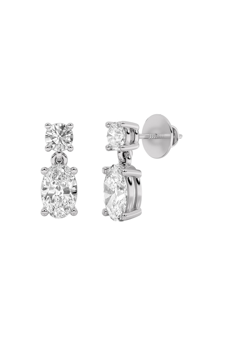 Graceful Duo Drop Earrings