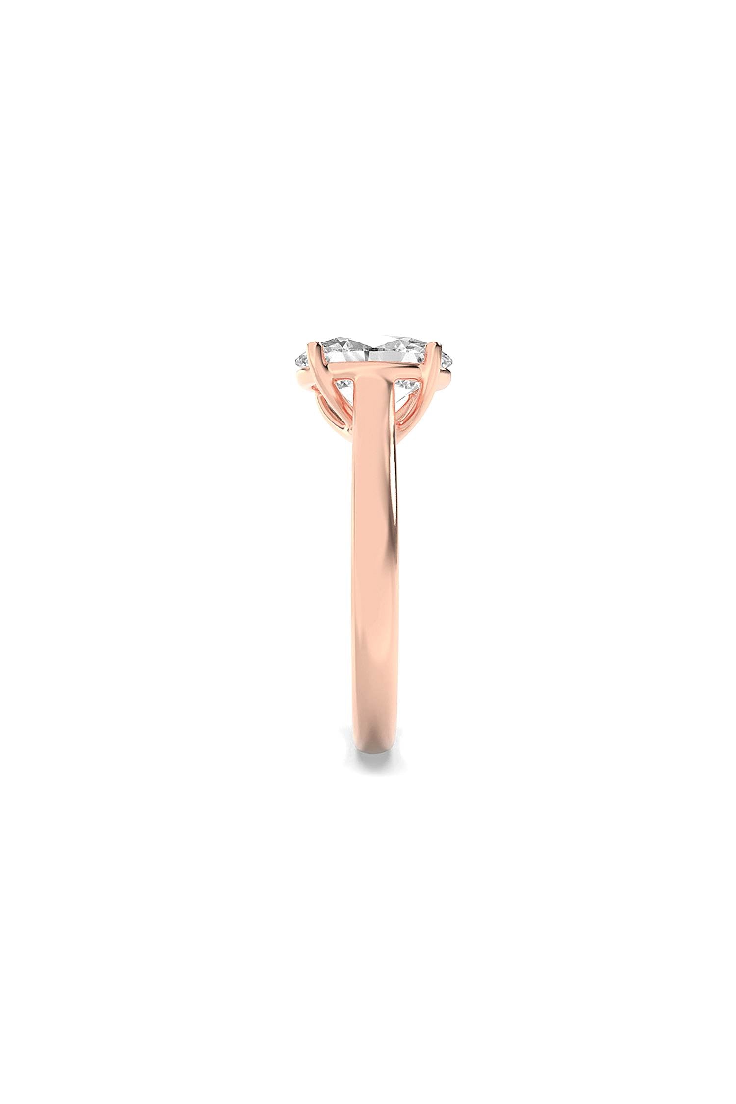 variant_45066416226401_3