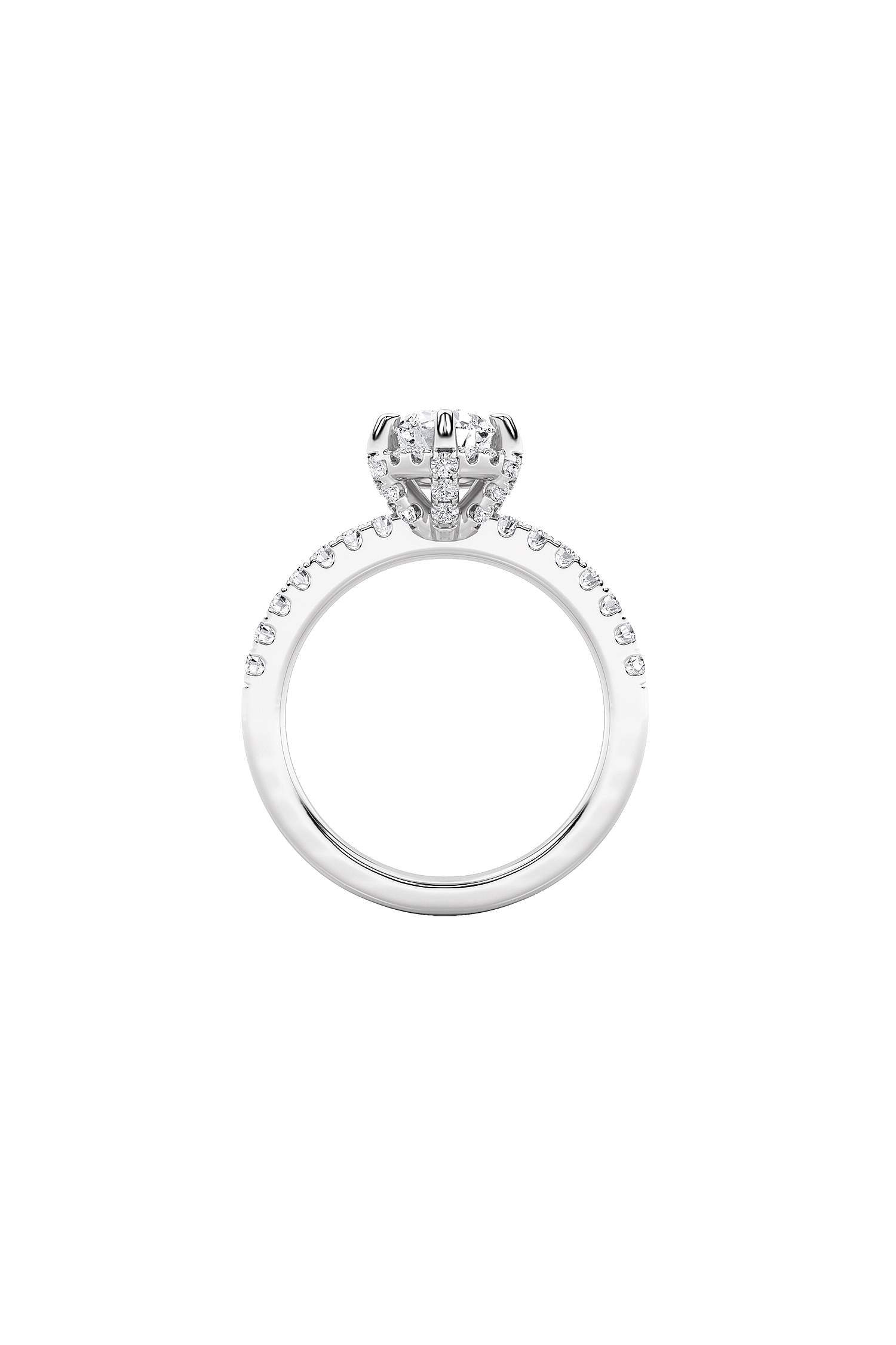 variant_43726869299297_3