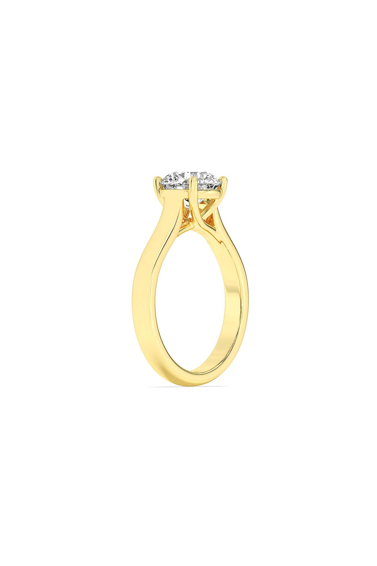 variant_45066416554081_0