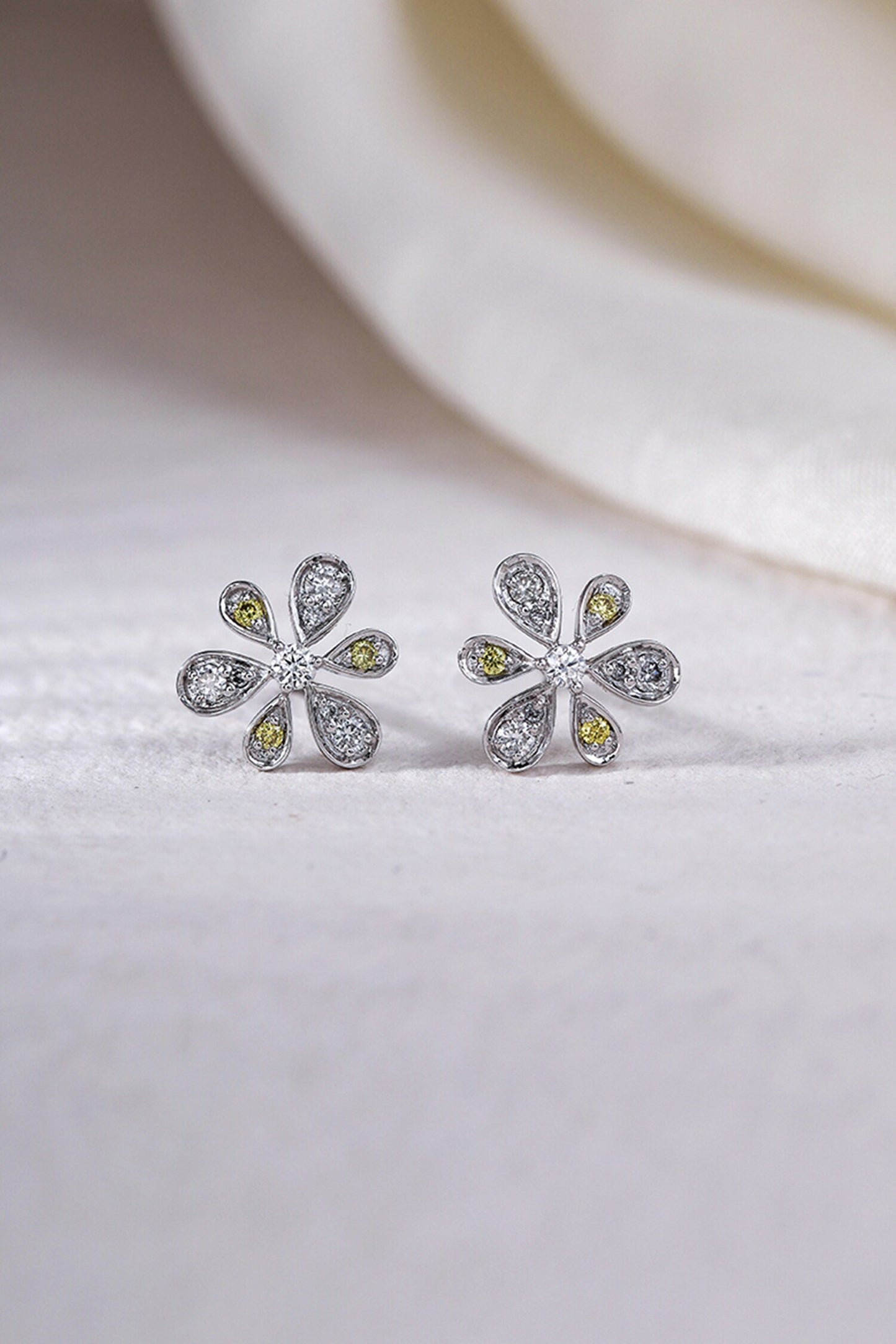 variant_43726830338145_0