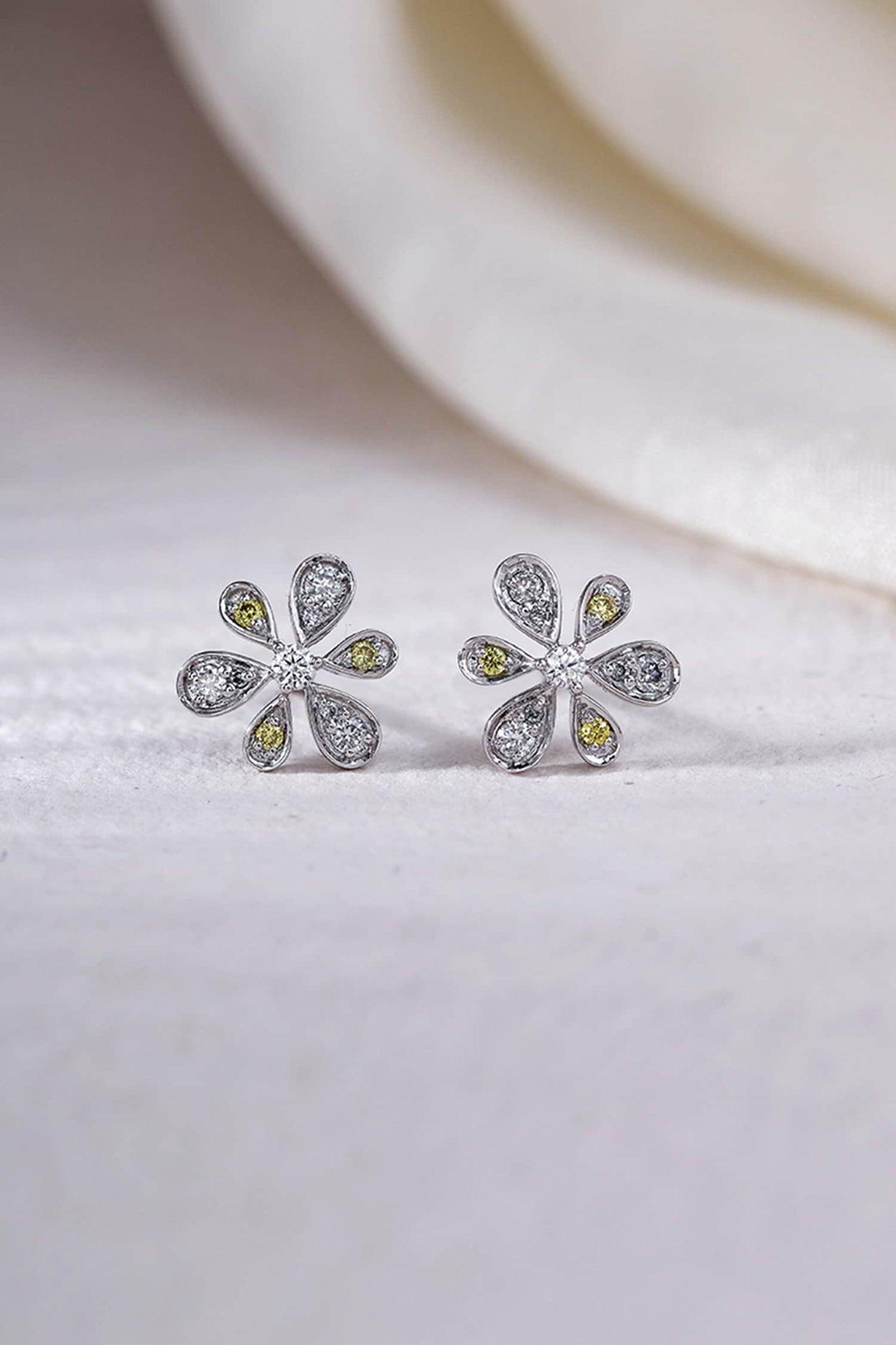 variant_43726830338145_0