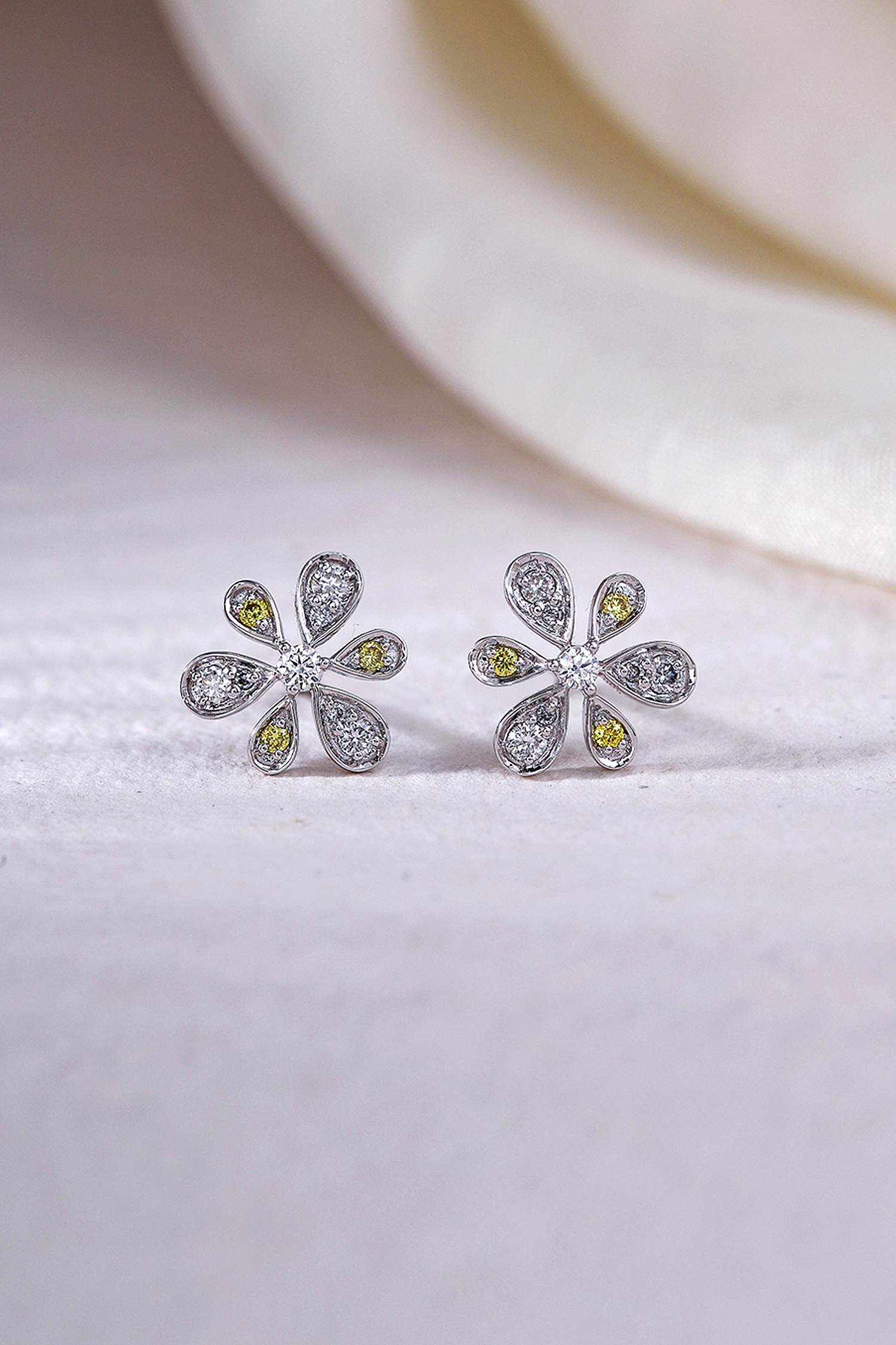 variant_43726830338145_1