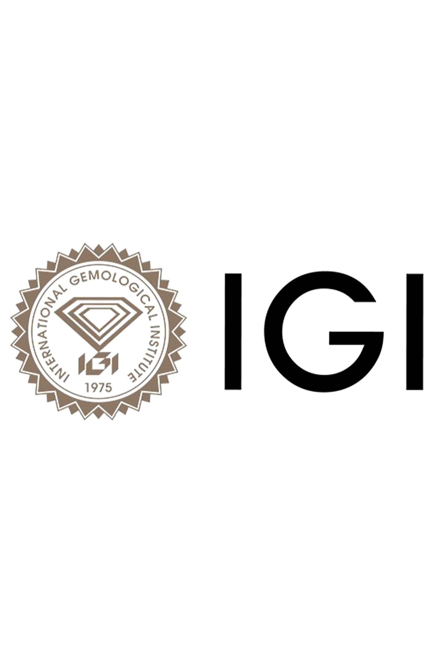 variant_43726835515489_2