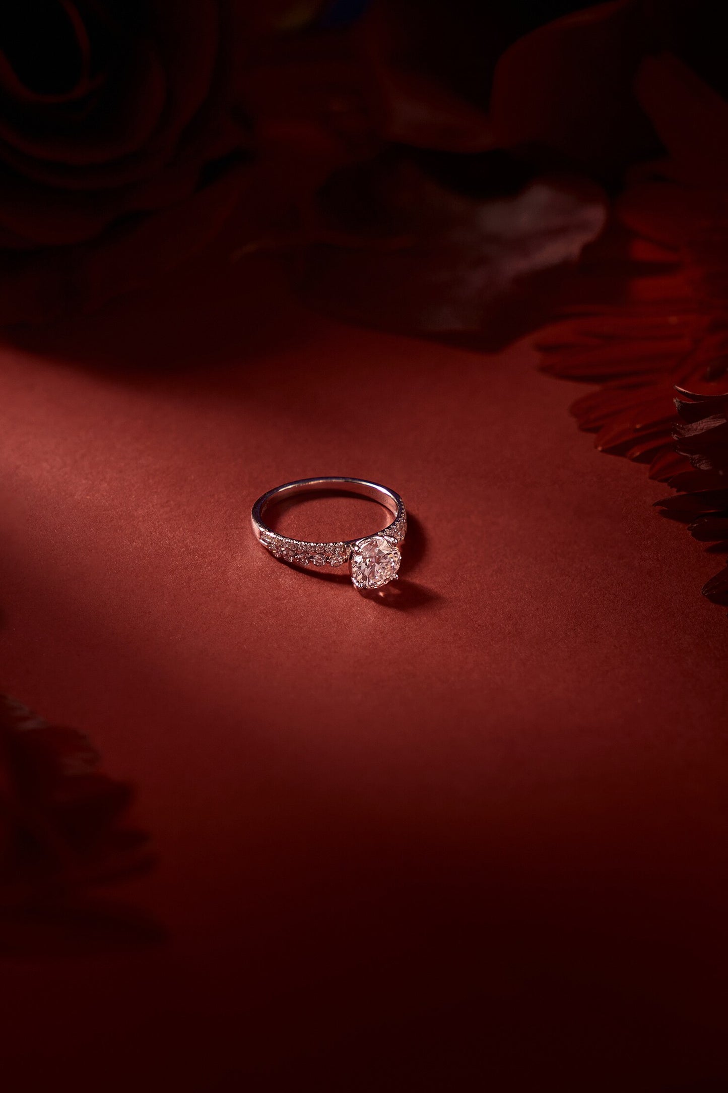 variant_43726833451105_0