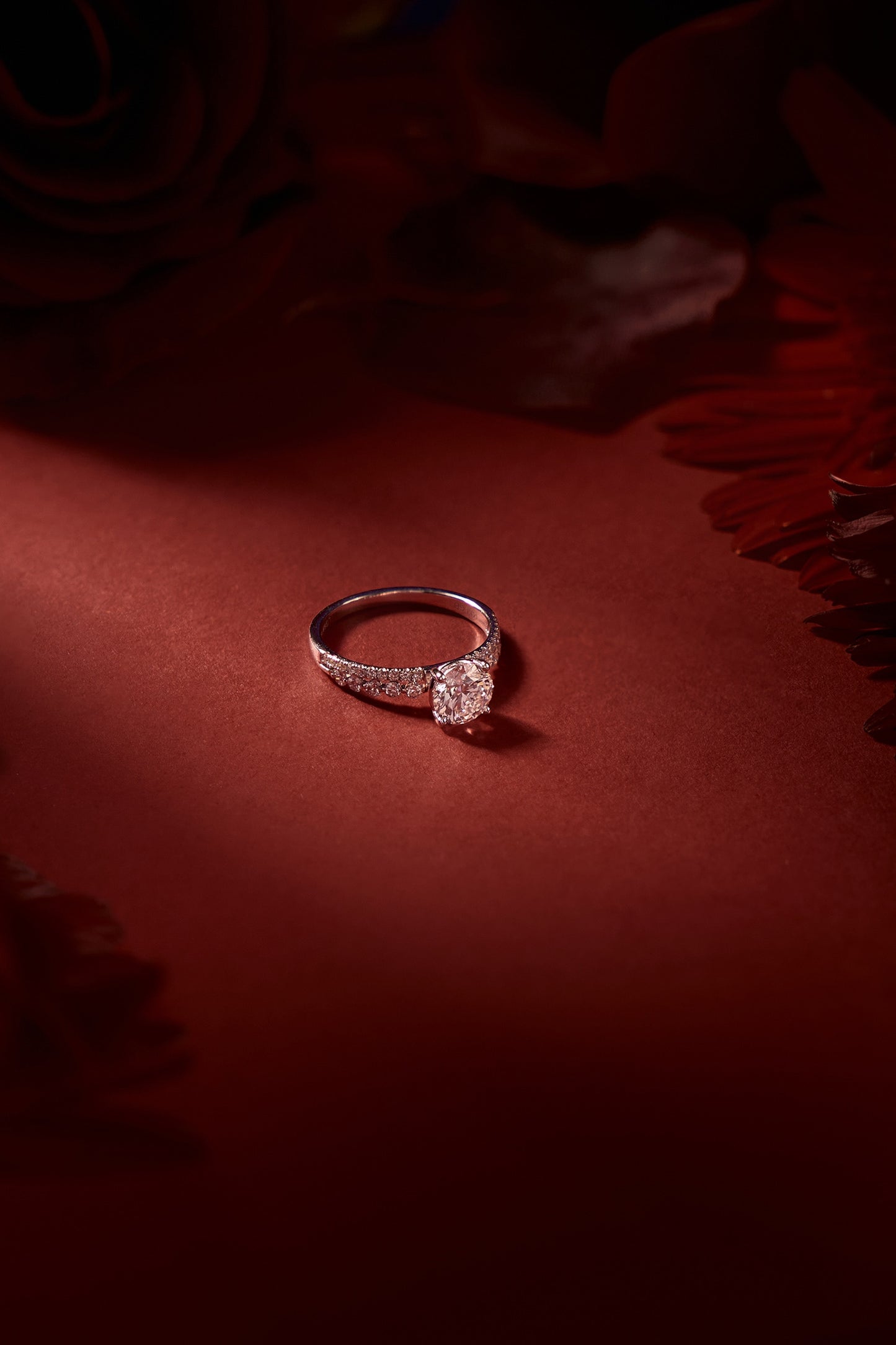 variant_43726833451105_0