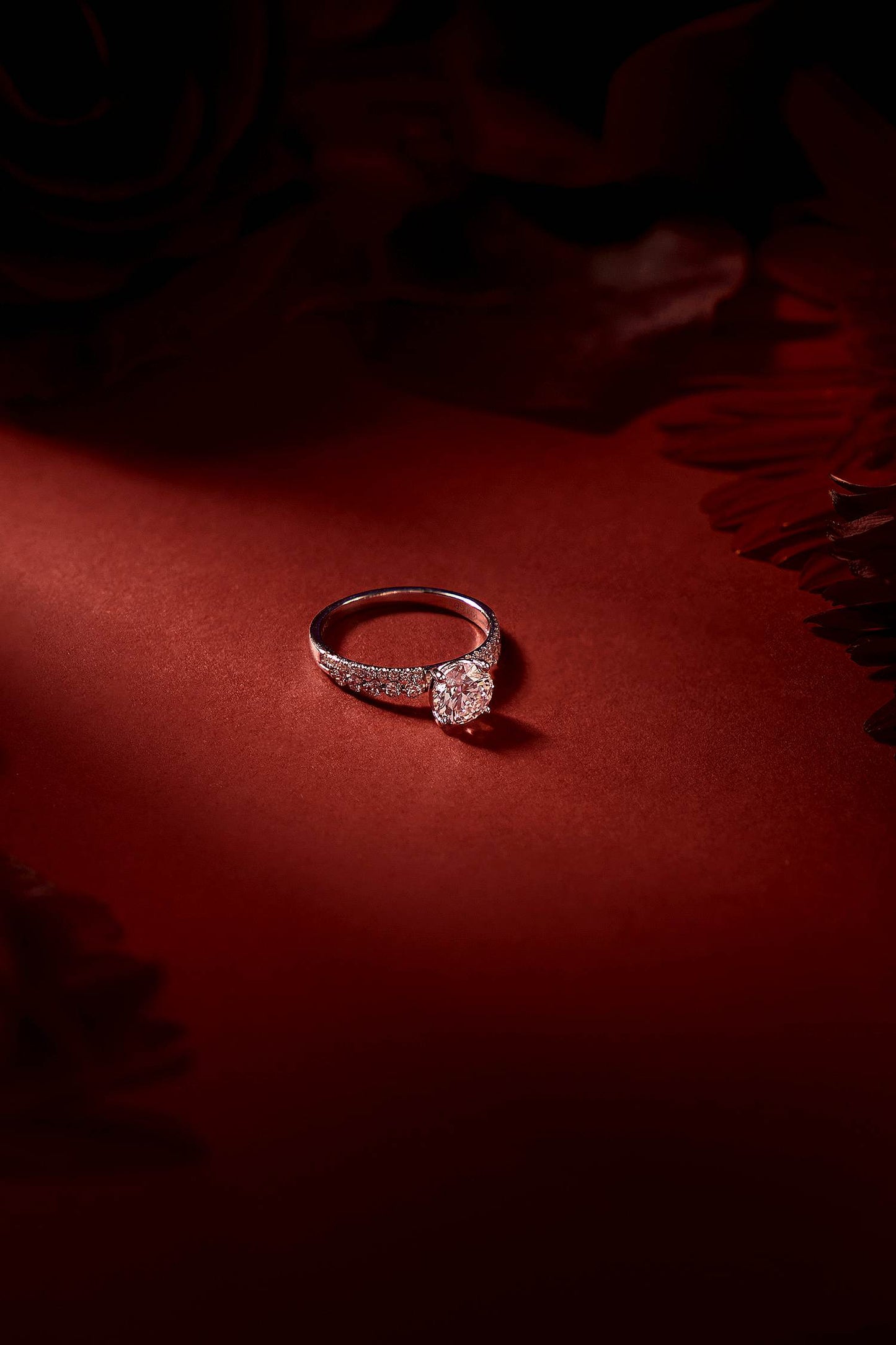 variant_43726833451105_0