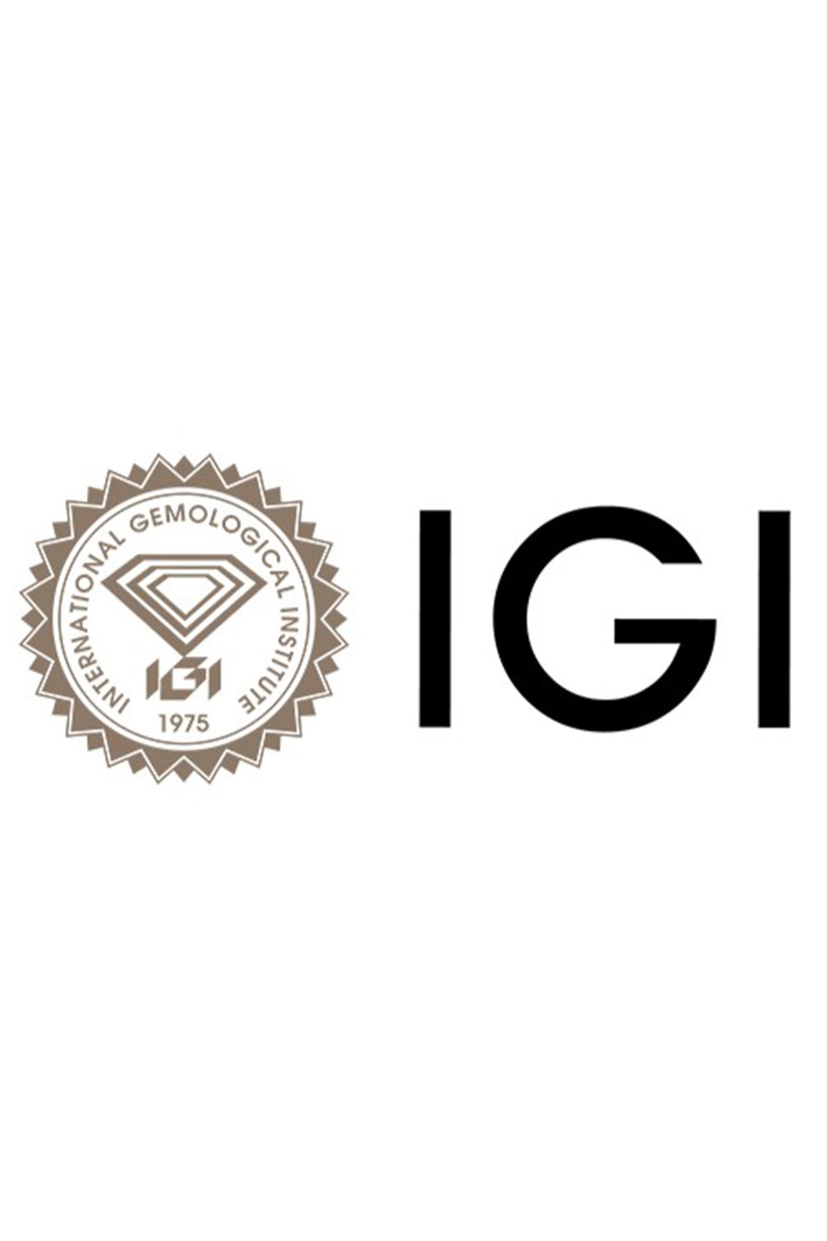 variant_46237522362465_4