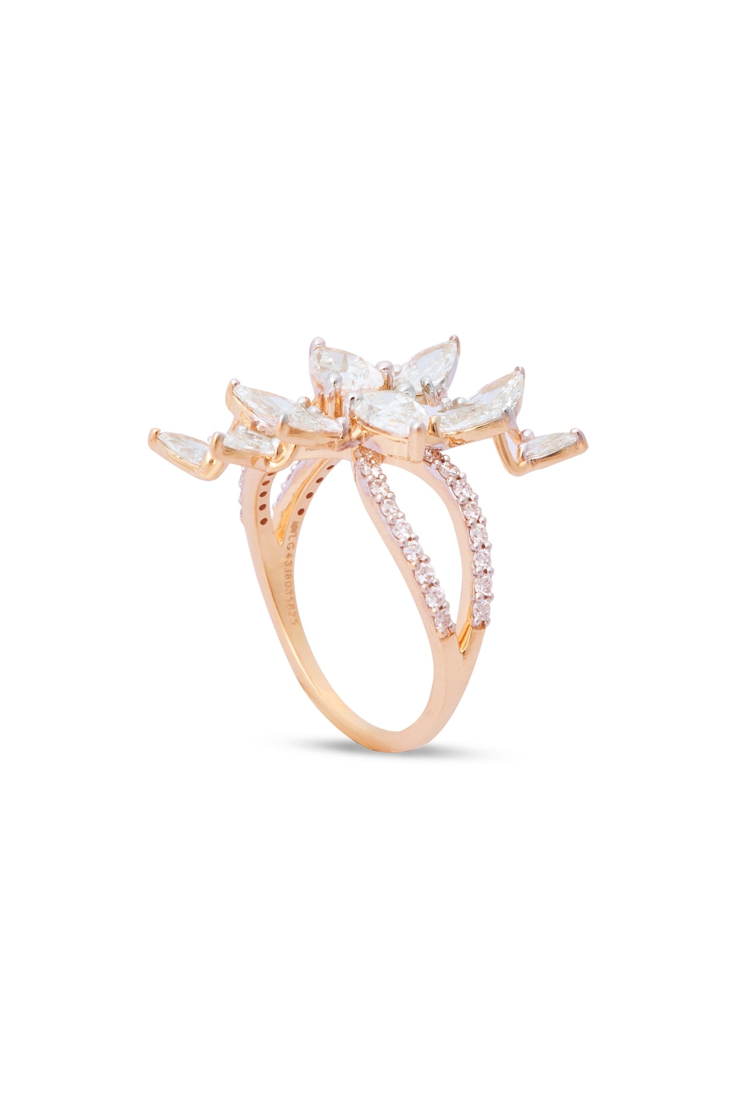 variant_43726840758369_0