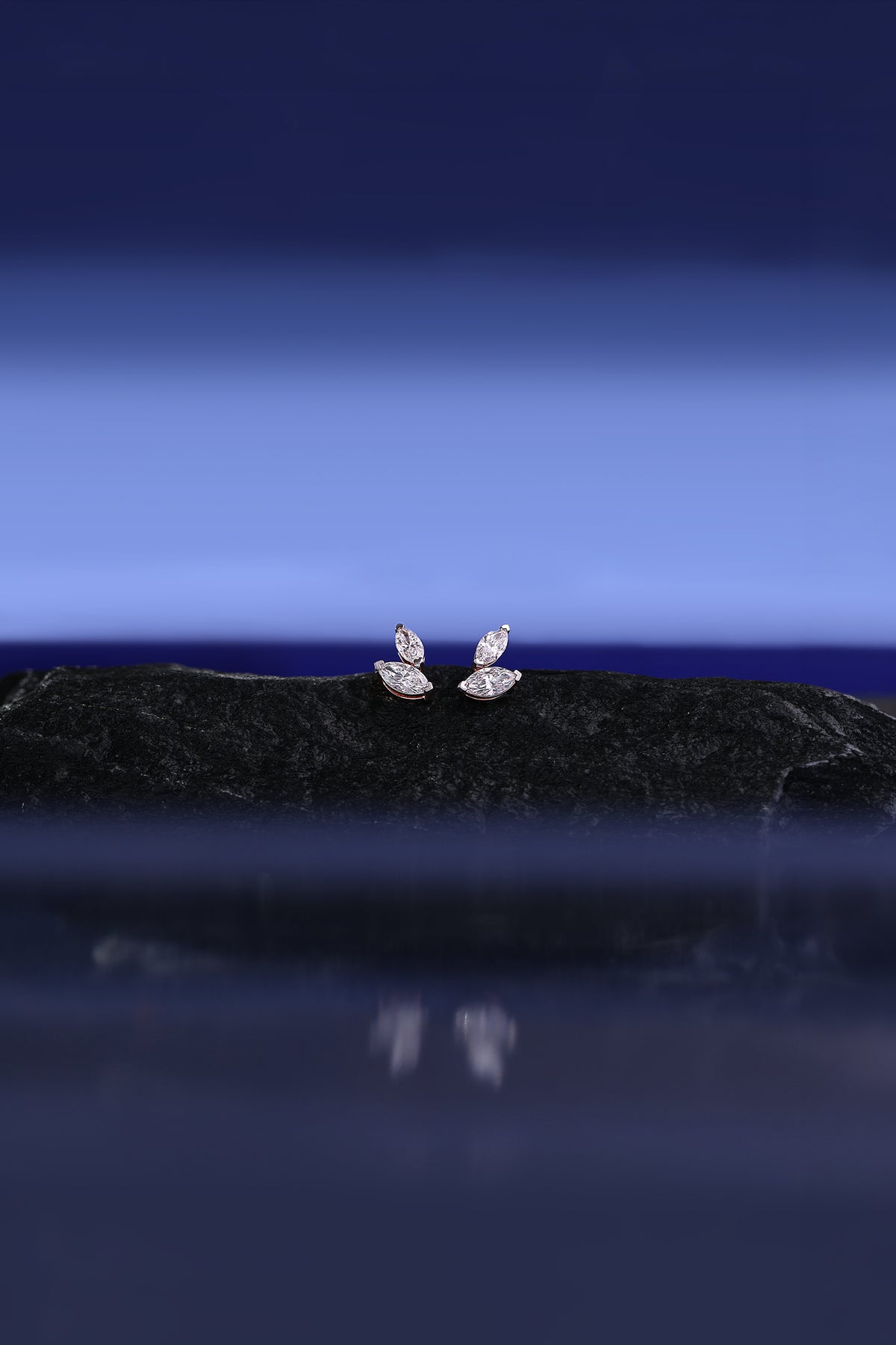 variant_46237521772641_1